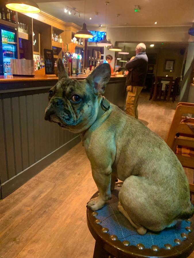 ホテル Crown & Anchor ウォーキング エクステリア 写真